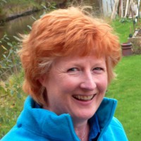 Ginny McDermott
