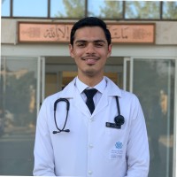 Seyed Danial Alizadeh