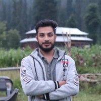 Muhammad Hassan Shafique