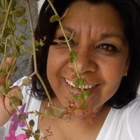 Virginia Bernal Pilarbernal_Bj