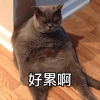 葛广达