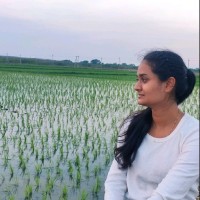 Sindhu S