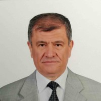 İrfan Koca