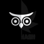 hash Agency