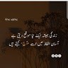 Huda Huda