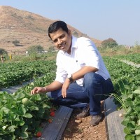 Avinash Thorat