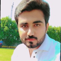 Syed Hasnain Raza Naqvi