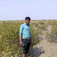 Ajay Borad