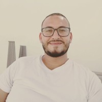 Hamed Elhaj Ali