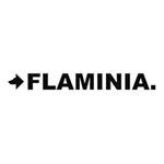 Thiết Bịvệ Sinh Flaminia