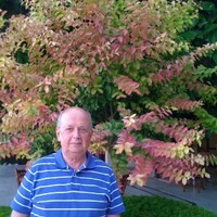 Metin Özdeş