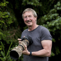 Rüdiger Dr. Wenzel