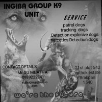 slindokuhle godfrey