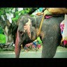 Biswanath Tripathi