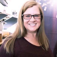 Gina Levi, Rn