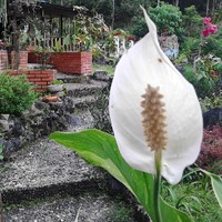 Posada tesoro Artesanal