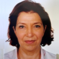 Dina Shahin