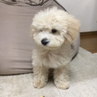 小口剛史