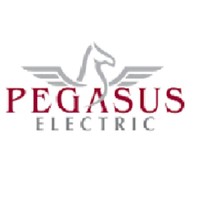 Pegasus Electric