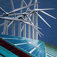 Virginia Dalli Cardillo