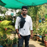 Ayush P.