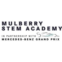 Mulberry Stem Academy