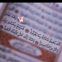 Laila Al Harba