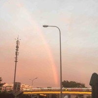 胡锦龙