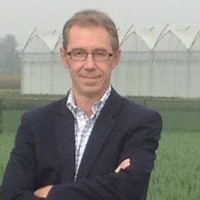Ackerman Filip