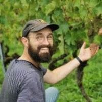 David Hatzopoulos