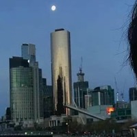 余子慧