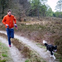 Mark Van Der Heijden