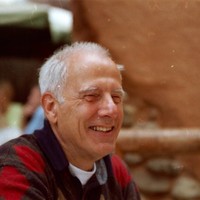 Henk H.C.J. Briaire