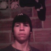 Bruno Cardenas