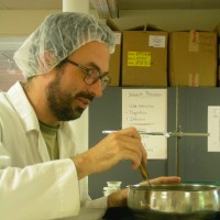 Robert Birkas
