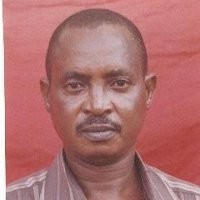 David Obaneye