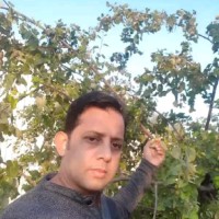 Belayet Haque