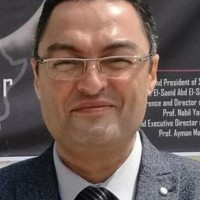 ayman mahrous