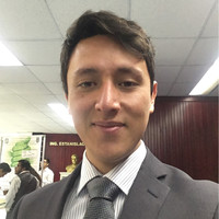 Gerardo Agustin Flores
