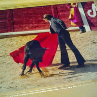 David Casado