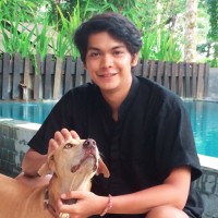 Teuku Mirza