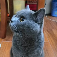 钱湘霏