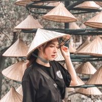 Bee Thảo
