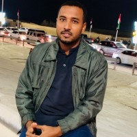 Mohamed Hamid