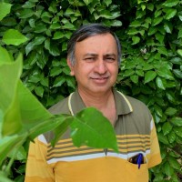 Prashant Ankolekar