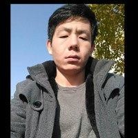 席武涛