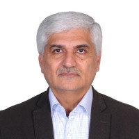 Seyed Mohsen Naghavi Pour