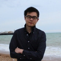 Luoqi Chen