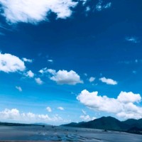 Adam Meng