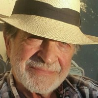 Marcello Elisabettini